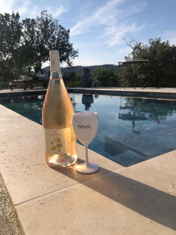 Villa Avec Piscine Privee Non Partagee Camps-la-Source Kültér fotó